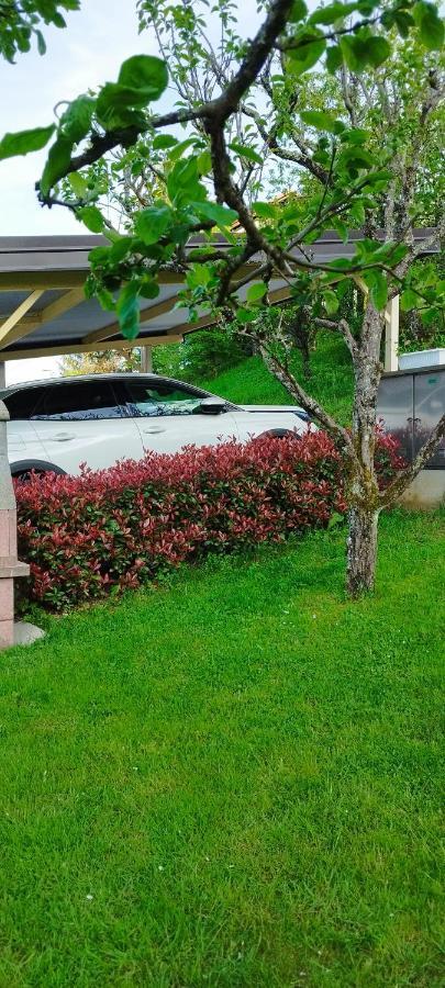 Apartma B & O Idrija Exteriör bild