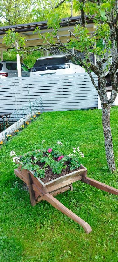 Apartma B & O Idrija Exteriör bild